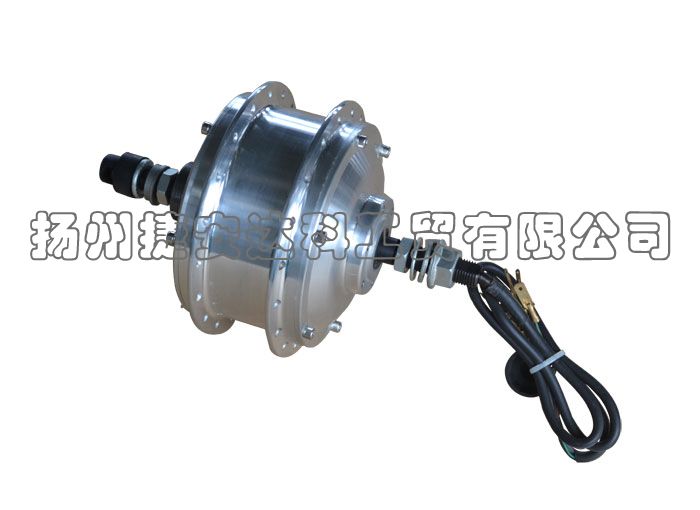 Brushless Rear Hub Motor